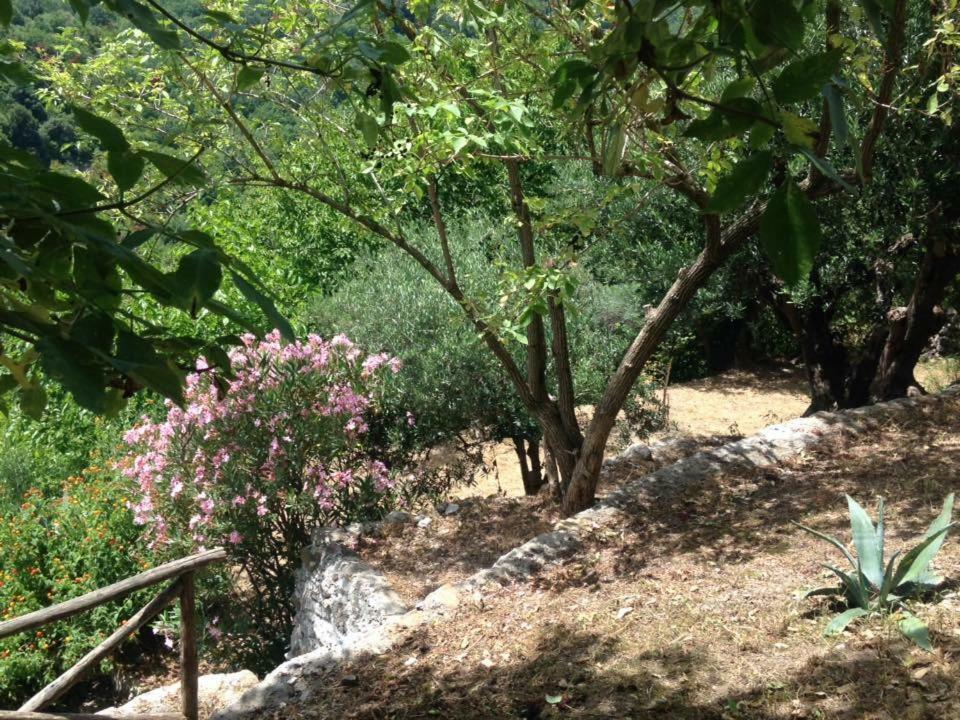 B&B Lo Straniero Rivello Buitenkant foto